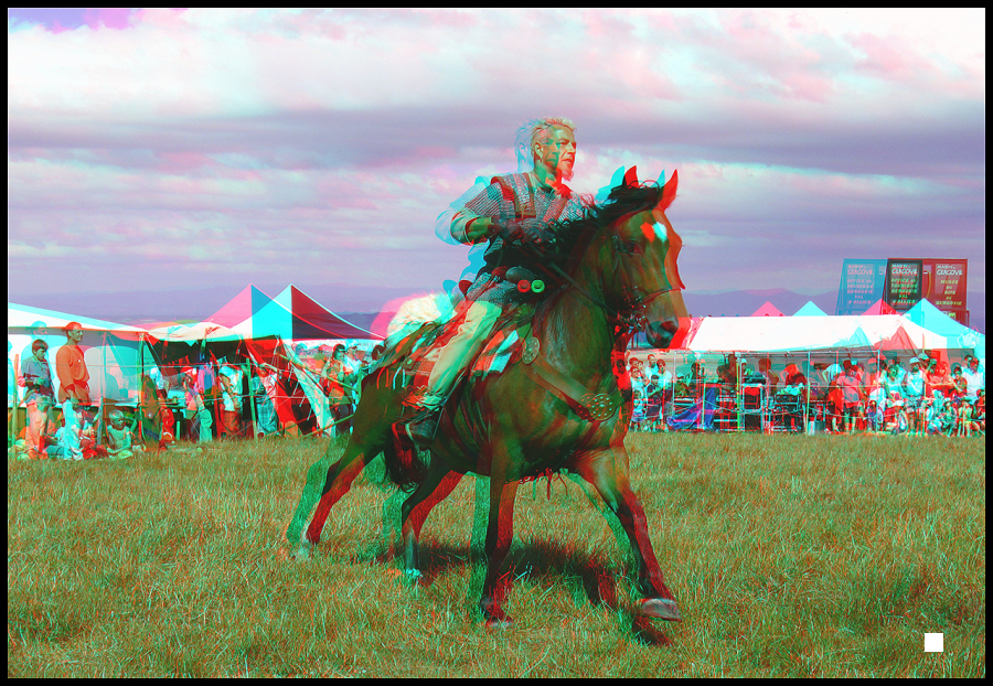 Petits chevaux grands cavaliers