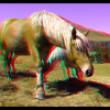 Chevaux