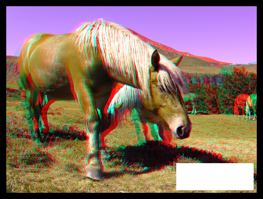 Chevaux merveilleux chevaux...
