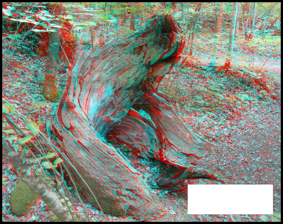 Serpent qui sort de la terre