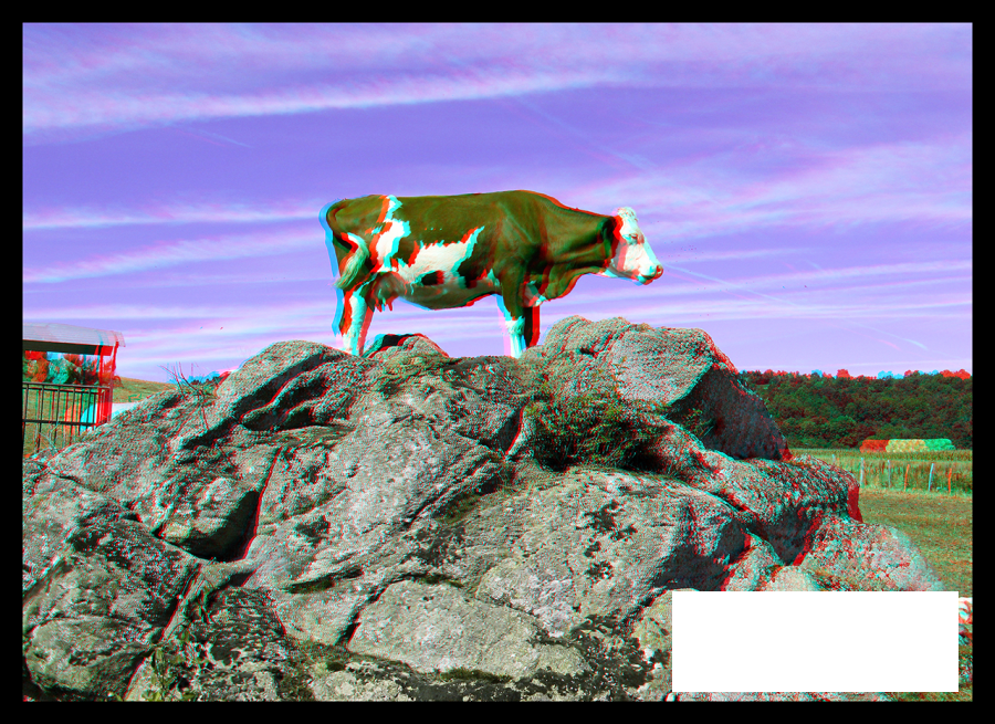 Auverniste ruminant !