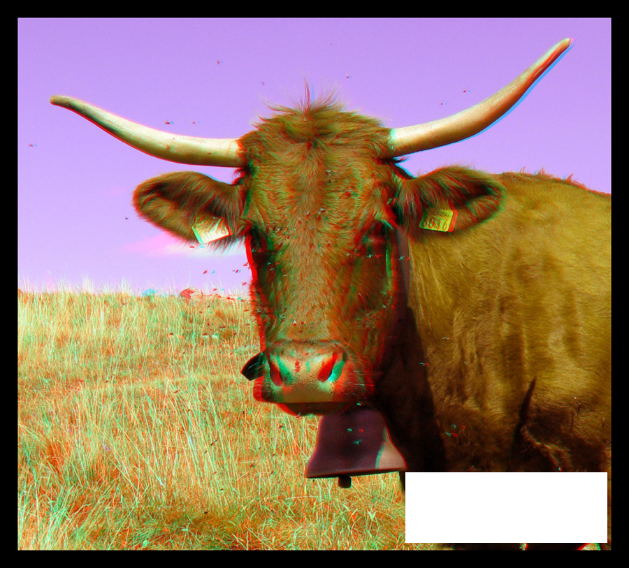 m'Embêtent ces mouches alors !