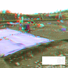 Inhumation d'immature