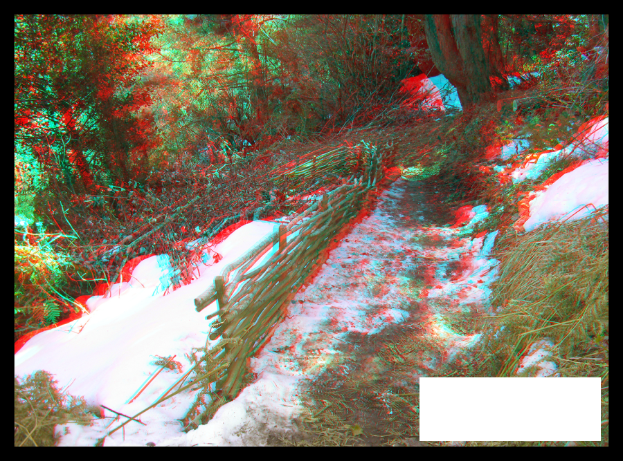 Sentier aménégé