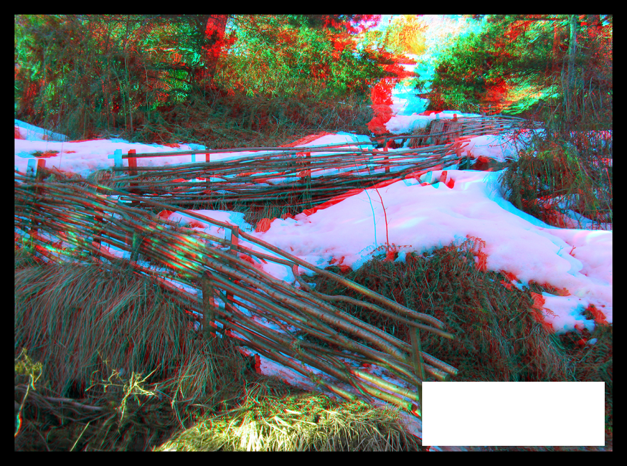 Sentier aménagé