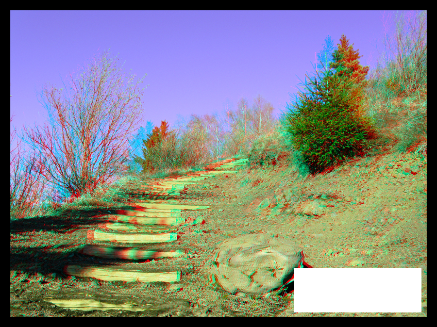 Escalier du Puy de la Vache