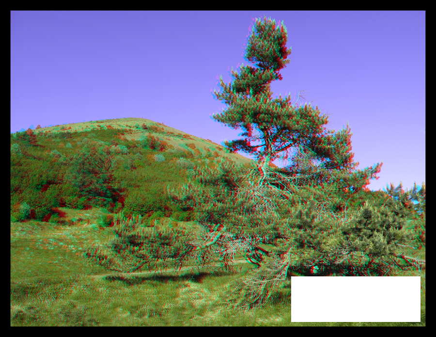 Derrière un arbre se cache un Puy...