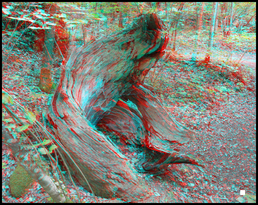 Serpent qui sort de la terre