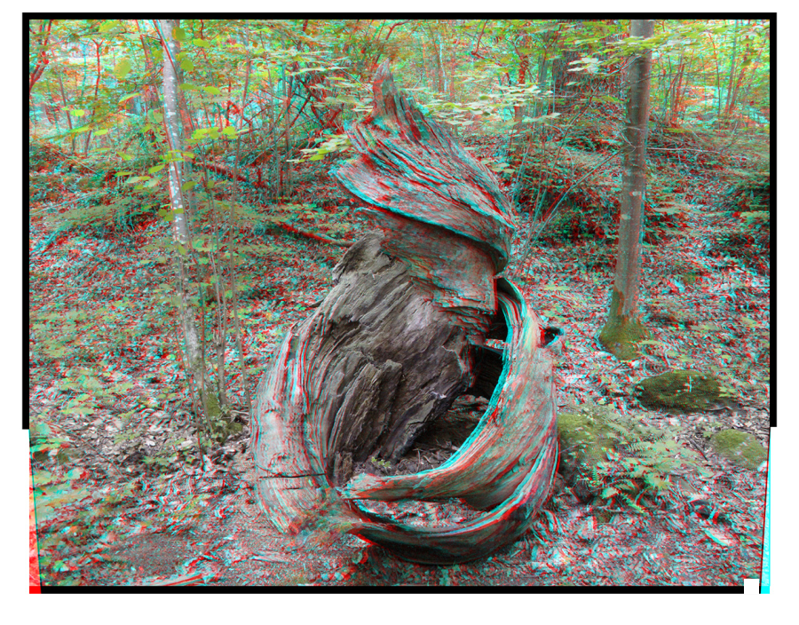Art naturel, souche en hélice (version jaillissante)