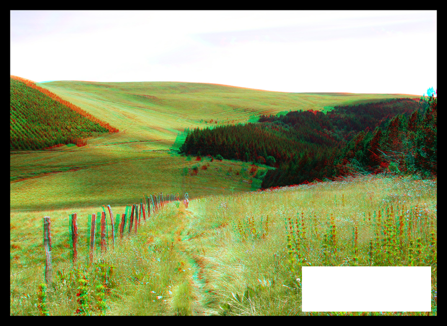 Plein la vue