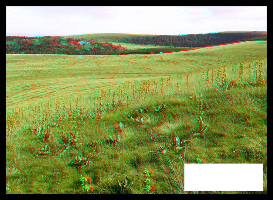 Burons, tras ou tracs des pentes du Puy de Combe Perret