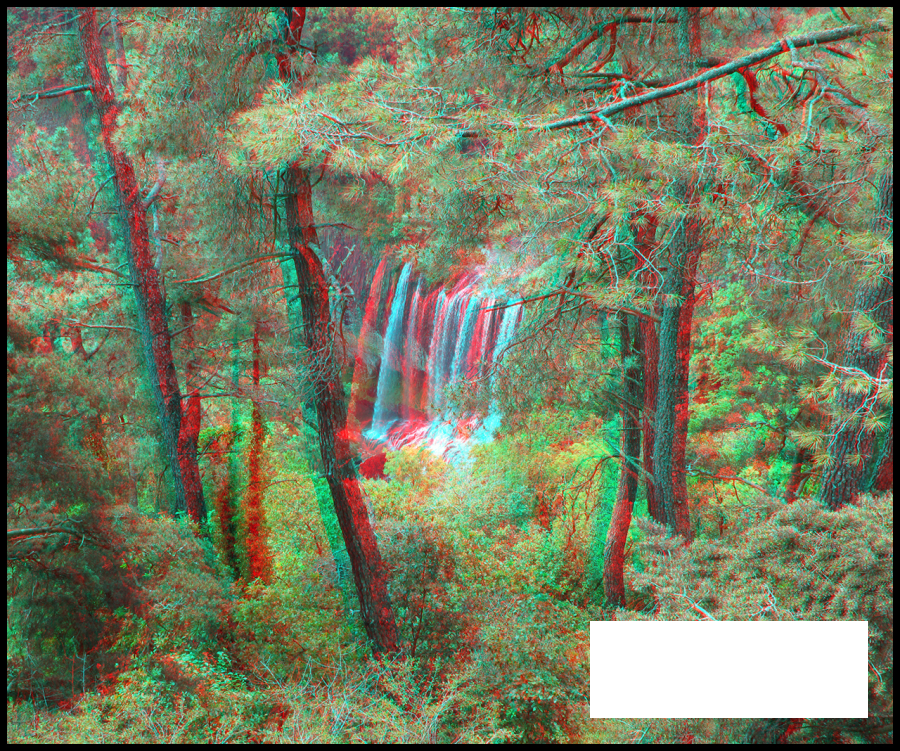à travers les arbres