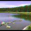 La plage du lac