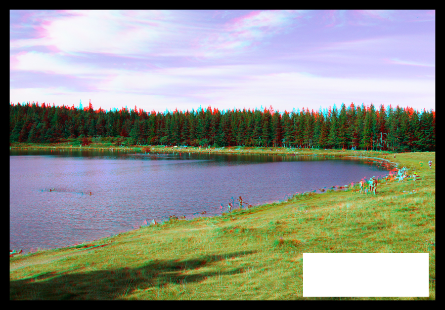 Plage verte