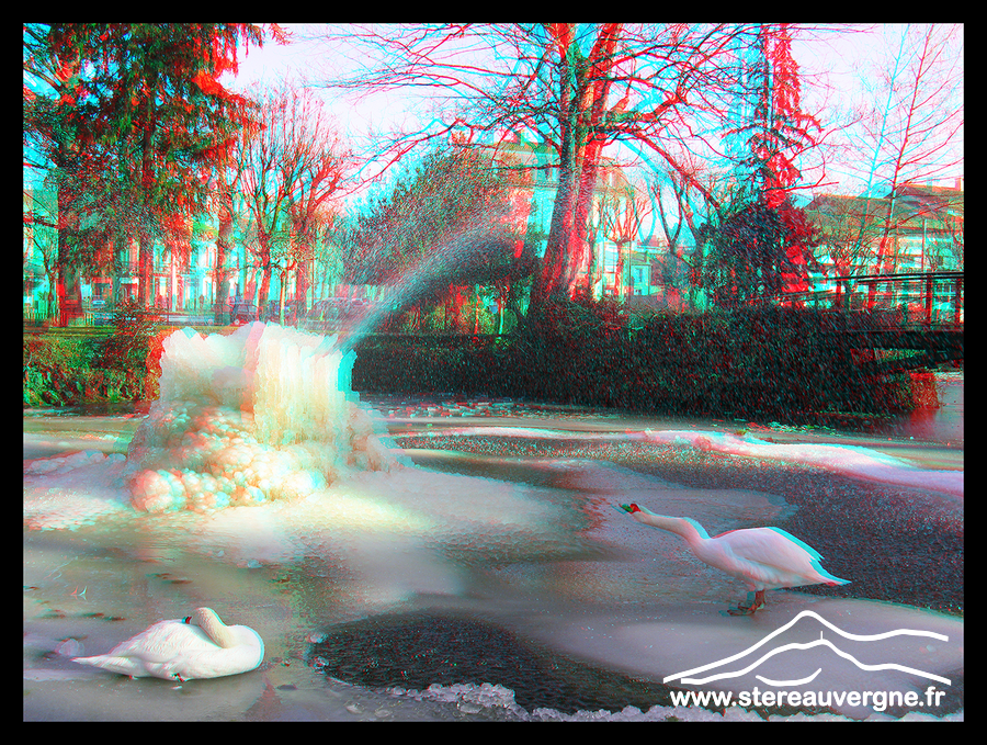 Cygne sur la banquise