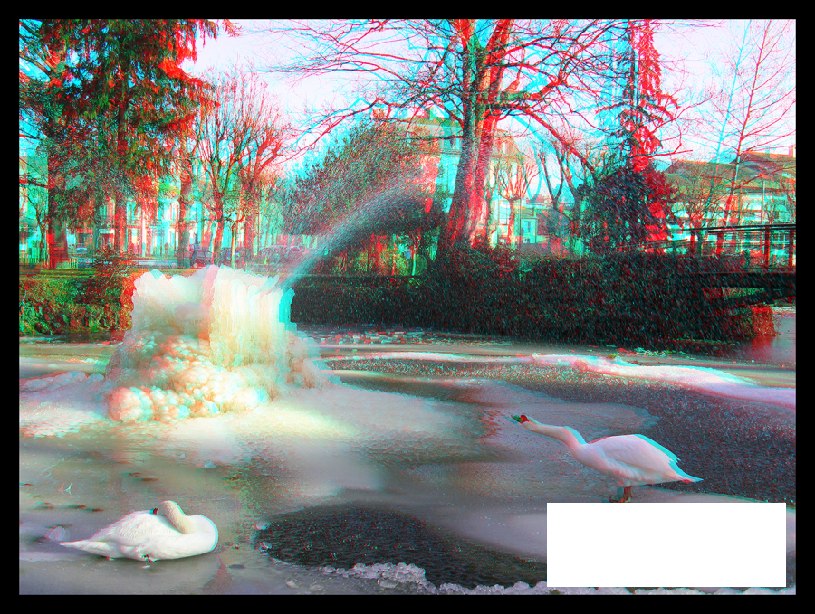 Cygne sur la banquise