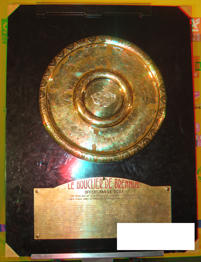 Relief de Brennus